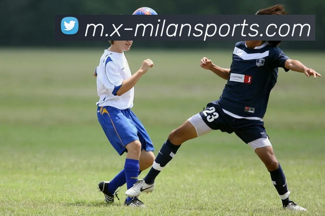 米兰体育APP 封面图